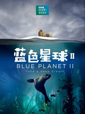 Blue Planet II 59
