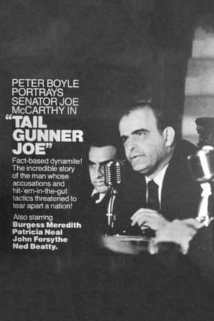Poster Tail Gunner Joe 1977