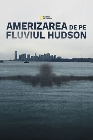 Poster Miracle Landing on the Hudson 2014