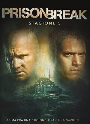 Prison Break: Stagione 5