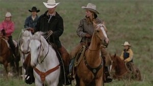 Heartland – Paradies für Pferde: 2×4