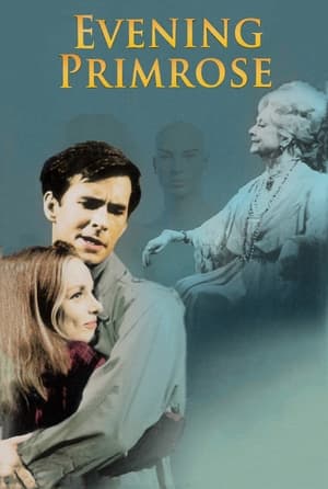Poster Evening Primrose 1966