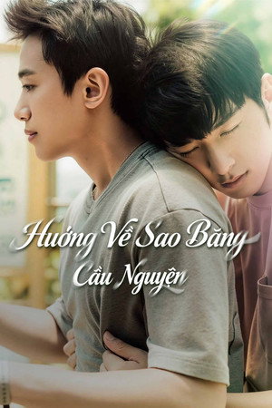 Image Hướng Về Sao Băng Cầu Nguyện