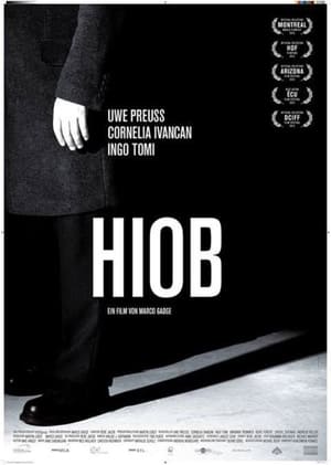 Hiob 2013