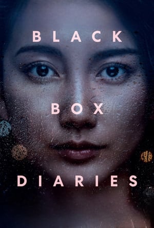 Poster Black Box Diaries 2024