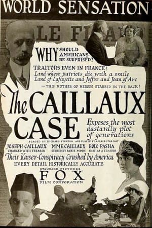 Poster The Caillaux Case (1918)