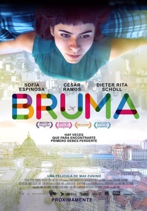 Poster Bruma 2017