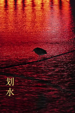 划水