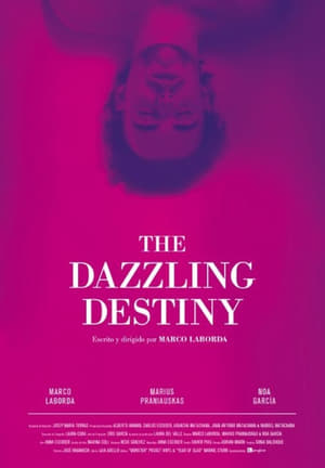 Poster The Dazzling Destiny (2013)