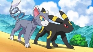 Pokémon Season 12 :Episode 34  Hikari vs Mama! Parent-Child Showdown!!
