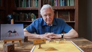 David Attenborough’s Natural Curiosities: 4×4