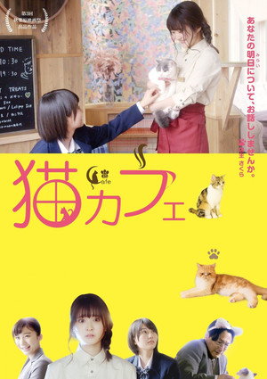 Cat Cafe 5