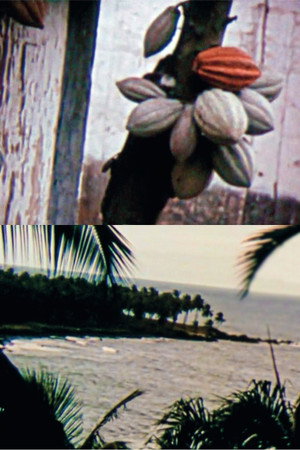São Tomé and Príncipe