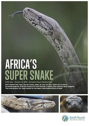 Image Afrikas Superpython