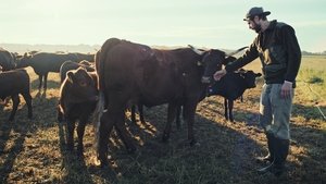 A Agricultura do Futuro