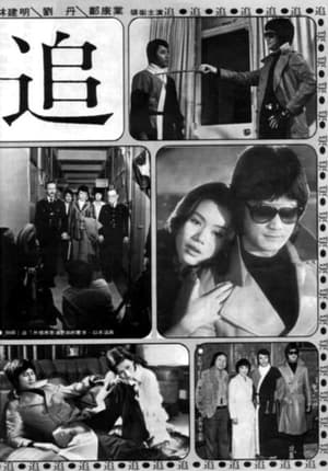 Poster 追 1978