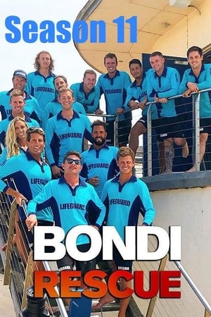 Bondi Rescue: Season 11