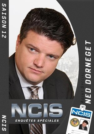 NCIS : Enquêtes spéciales: Saison 12