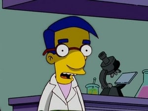 Los Simpson Temporada 18 Capitulo 11