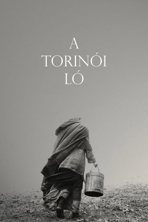 The Turin Horse 26