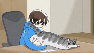 Nights With a Cat: 1×12