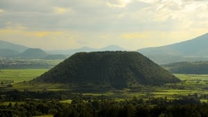 Los árboles mueren de pie