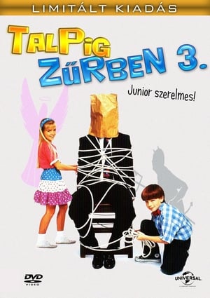 Talpig zűrben 3. (1995)