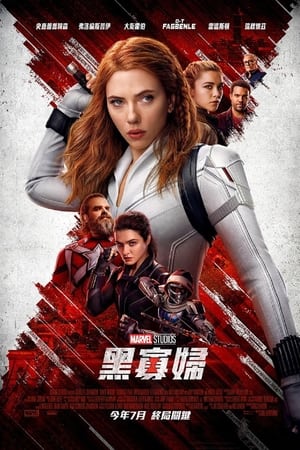 Poster Black Widow 2021