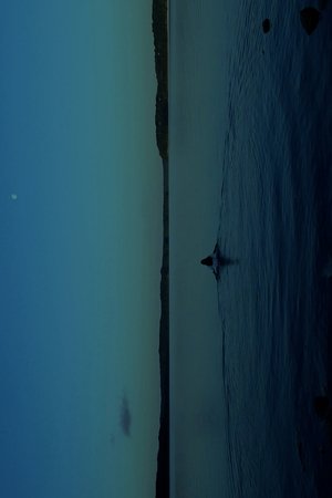 THE WATERS