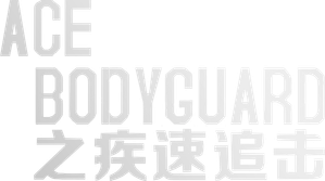 Ace Bodyguard — Logos 1