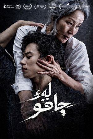 poster The Old Woman with the Knife