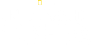 Um Estranho na Selva — Logos 3