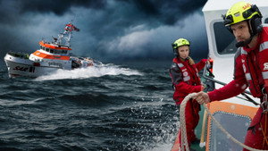 The Sea Rescuers