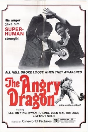 The Angry Dragon poster
