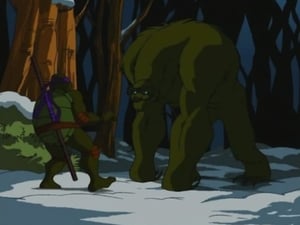 Teenage Mutant Ninja Turtles: 1×20