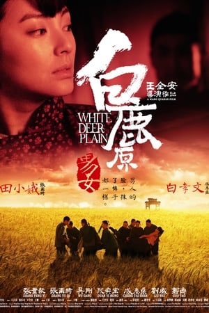 Poster White Deer Plain 2012