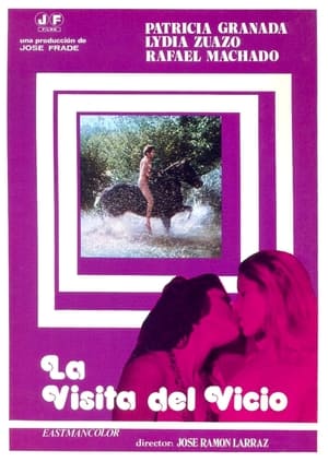 Poster La visita del vicio 1978