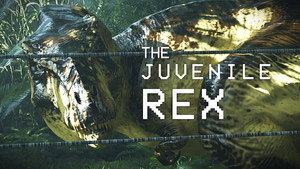 The Juvenile Rex | StreamHub