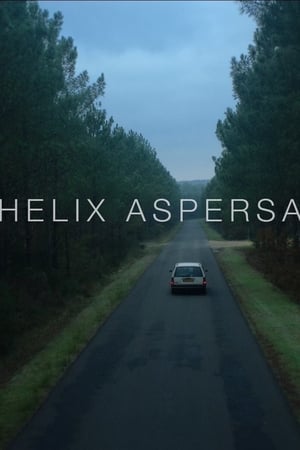 Poster Helix Aspersa (2014)