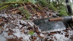 Épisode 11