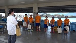 Journeys in Japan: 15×17