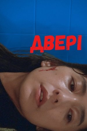 Image ДВЕРІ