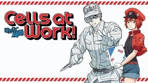 Cells at Work! (2018) | Hataraku Saibou | เซลล์ขยัน พันธุ์เดือด