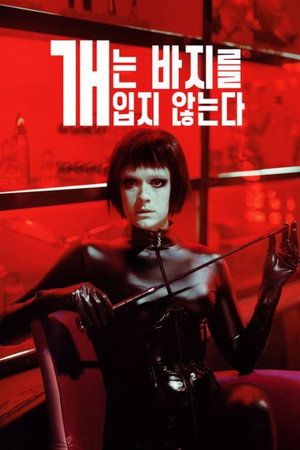 개는 바지를 입지 않는다