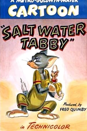 Salt Water Tabby poster