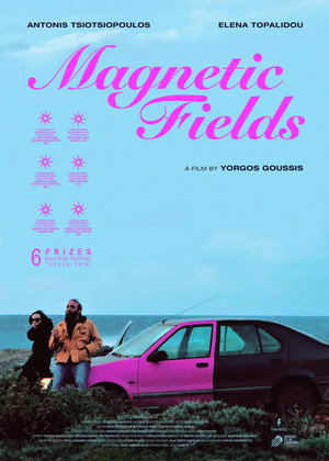 Magnetic Fields 6