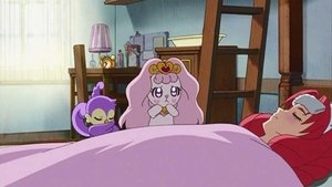 Go! Princess Precure: 1×26