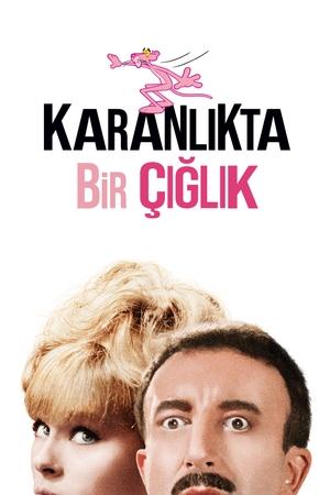 Image Karanlıkta Bir Çığlık