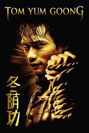 Poster 冬荫功 2005