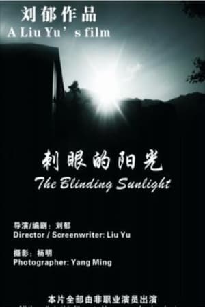 Poster The Blinding Sunlight (2013)